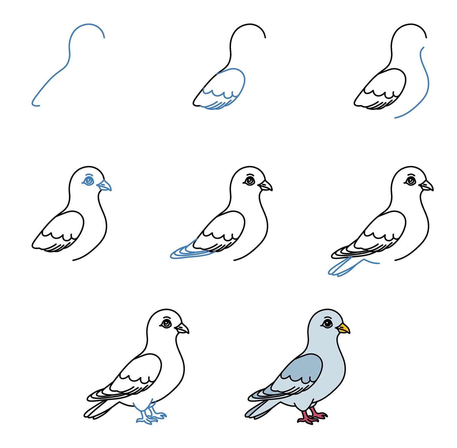 Pigeon idea (15) Drawing Ideas