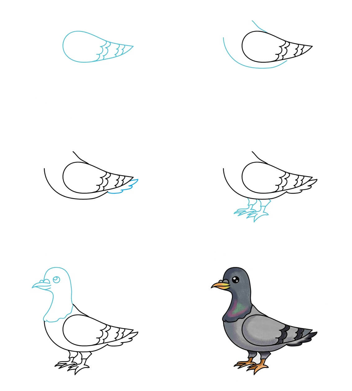 Pigeon idea (3) Drawing Ideas