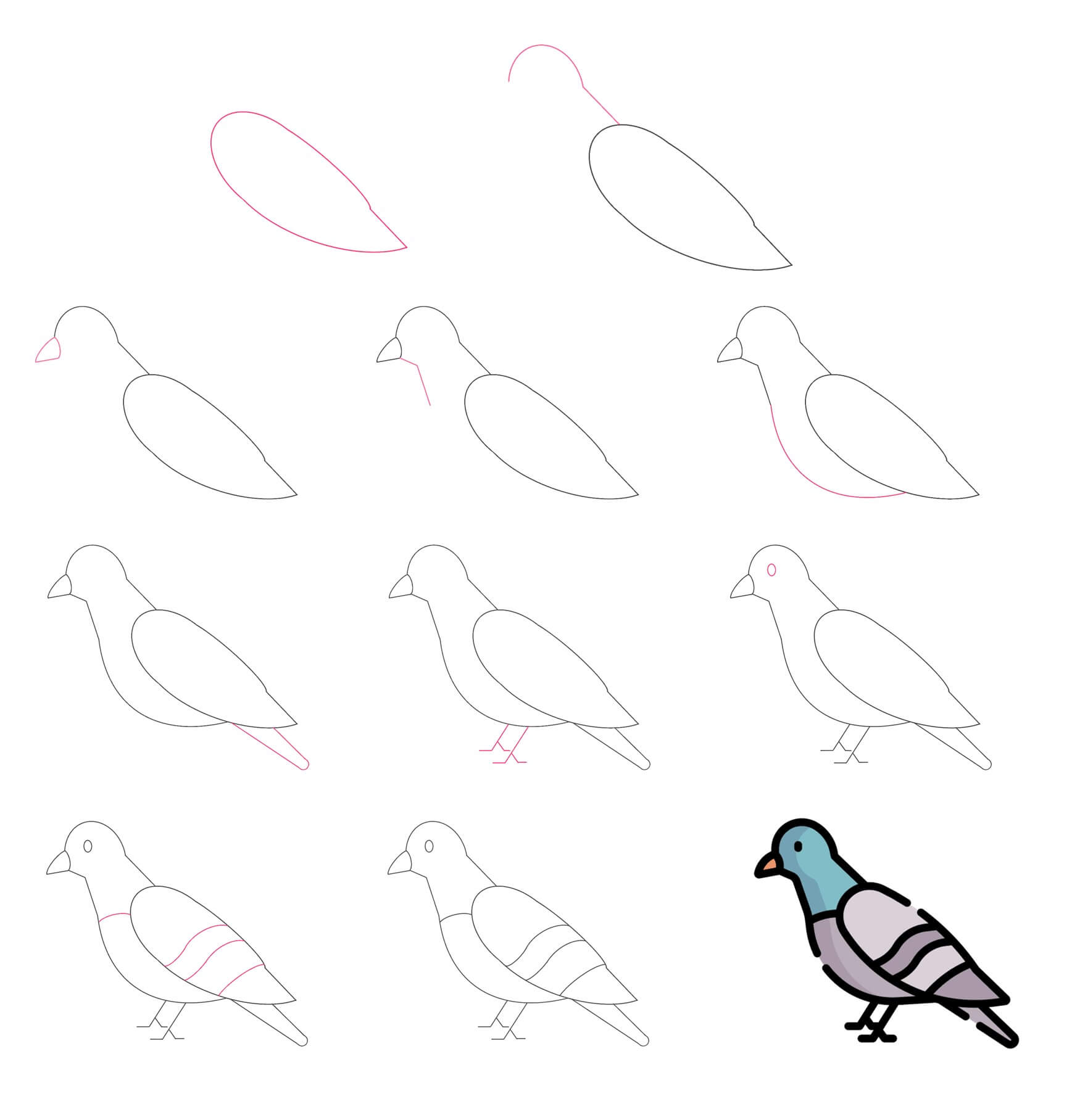 Pigeon idea (4) Drawing Ideas