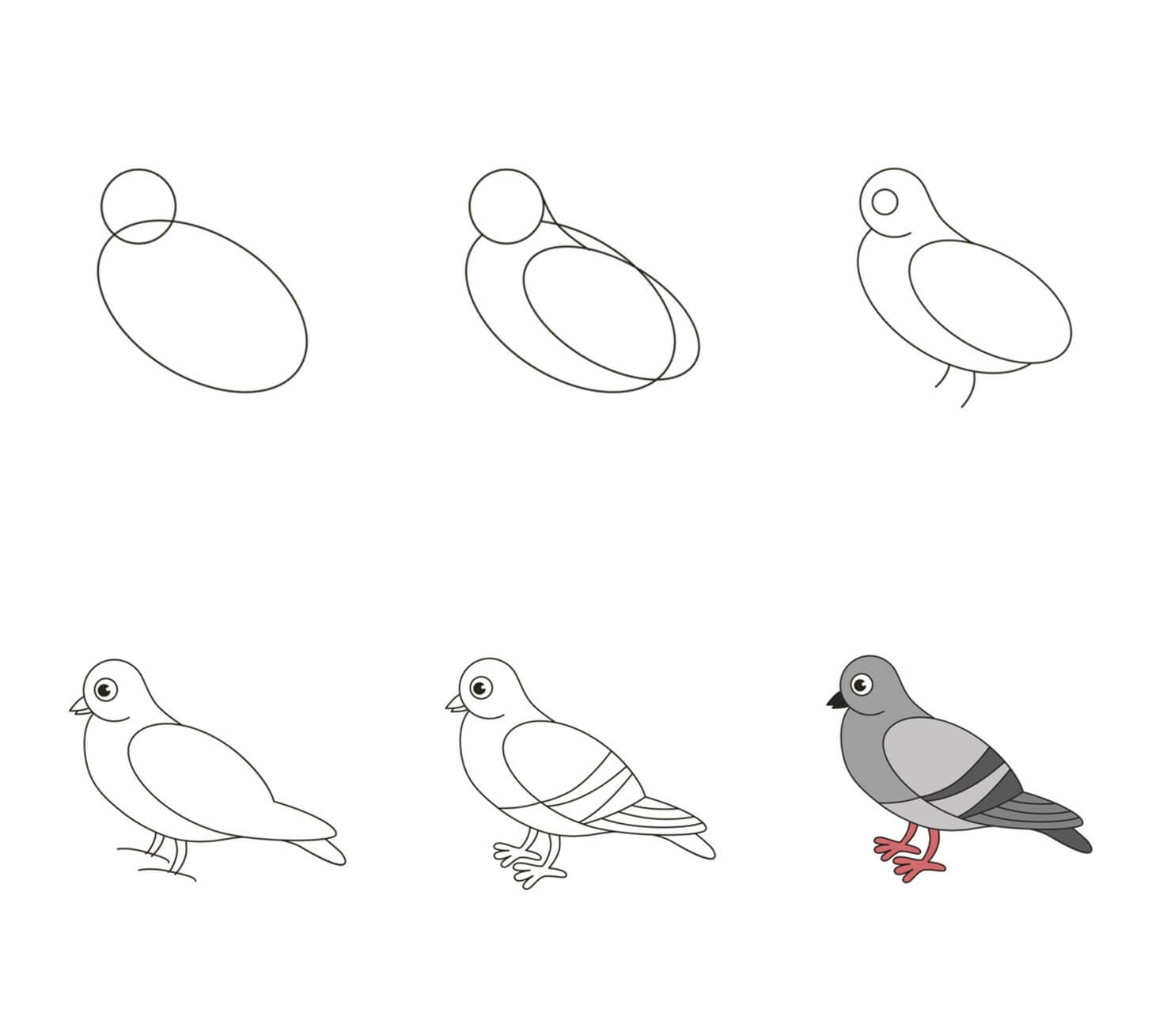 Pigeon idea (6) Drawing Ideas