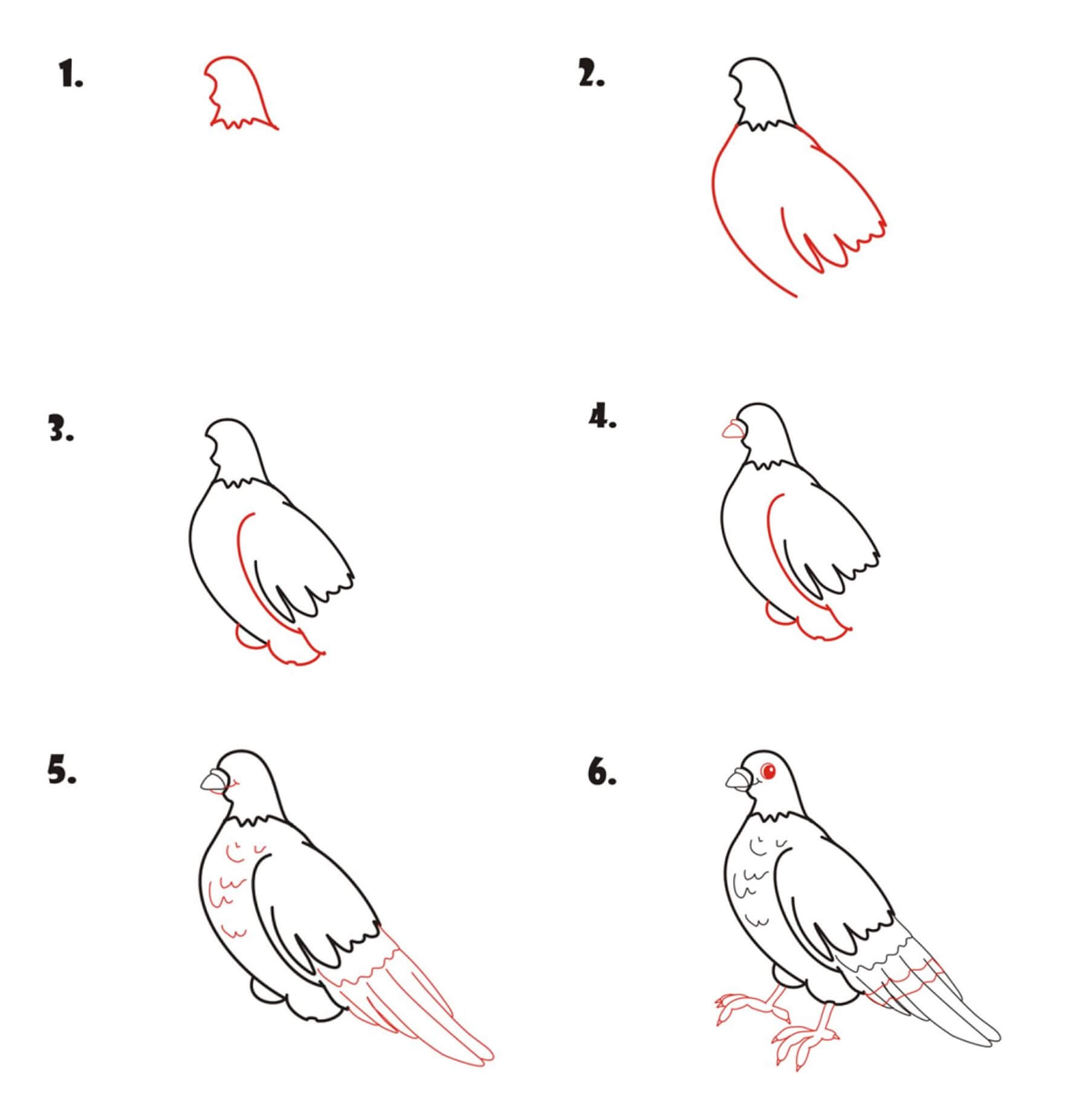 Pigeon idea (8) Drawing Ideas