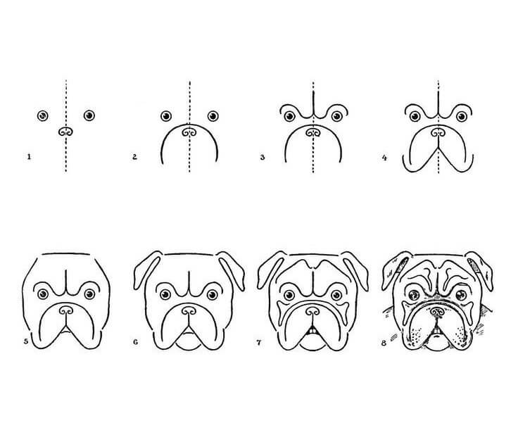 Pug dog face (1) Drawing Ideas