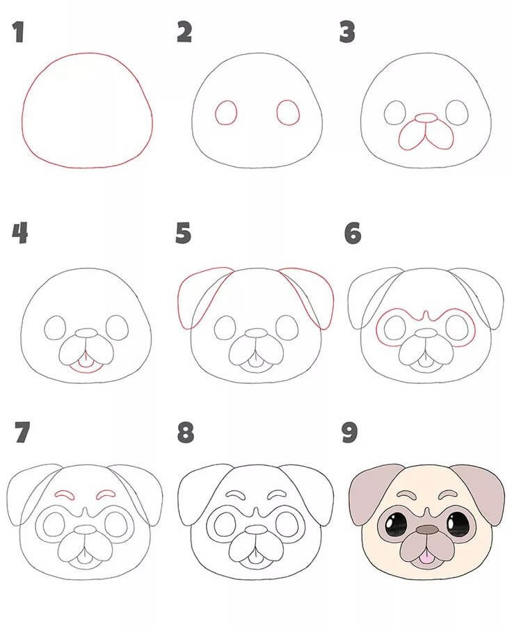 Pug dog face (4) Drawing Ideas