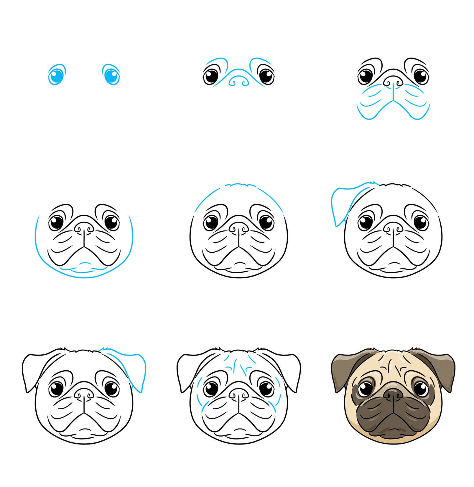 Pug dog face (5) Drawing Ideas