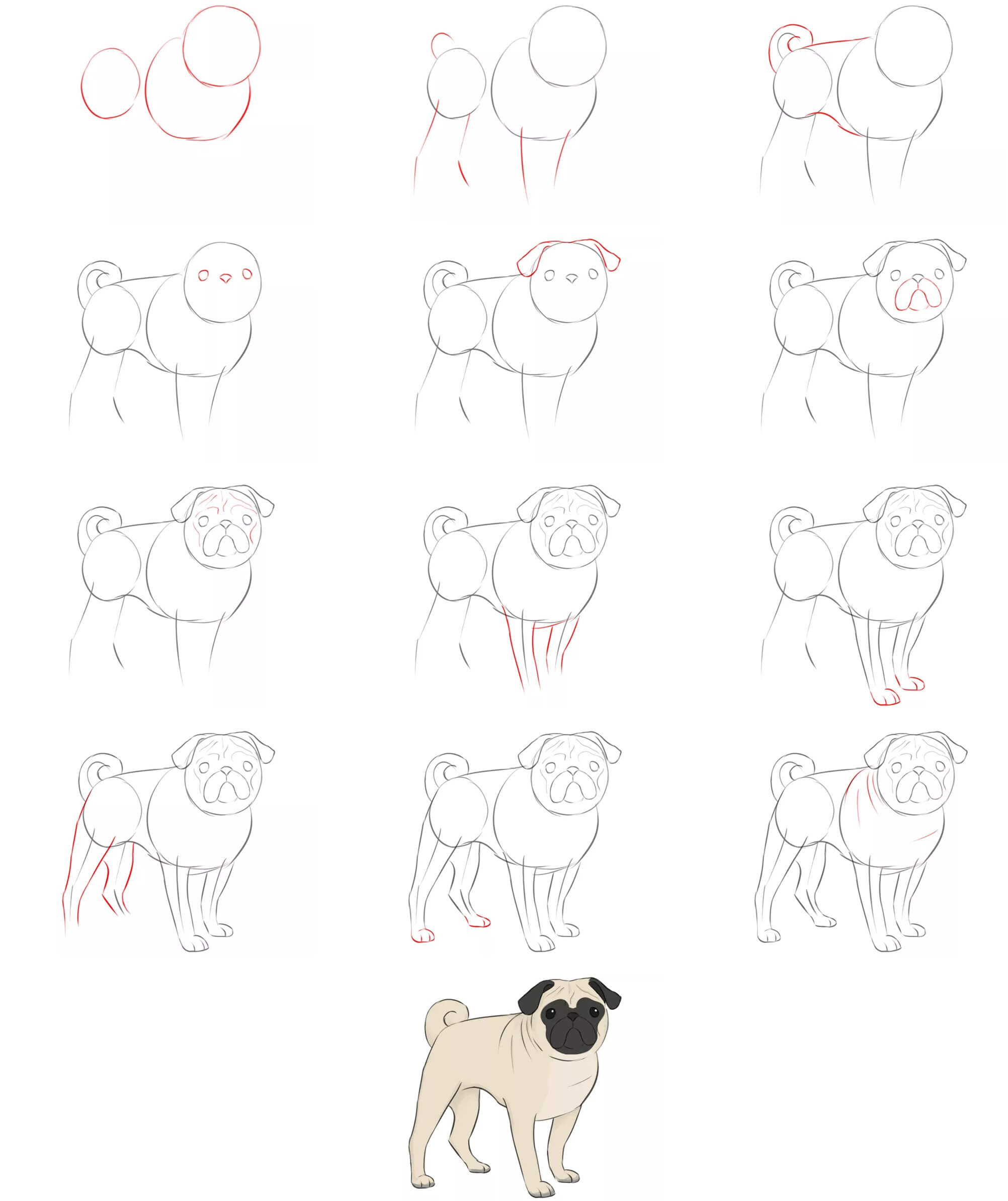 Pug idea (17) Drawing Ideas