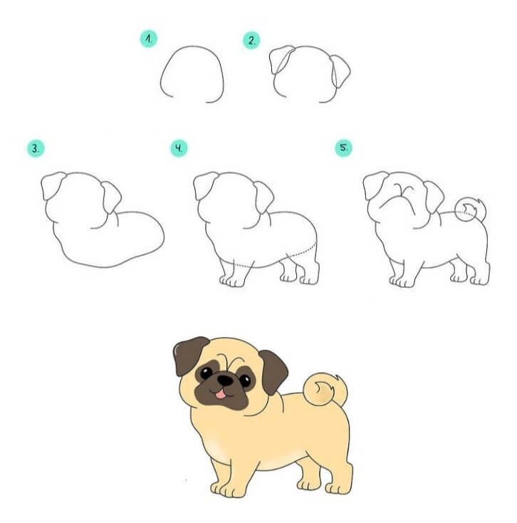 Pug idea (3) Drawing Ideas