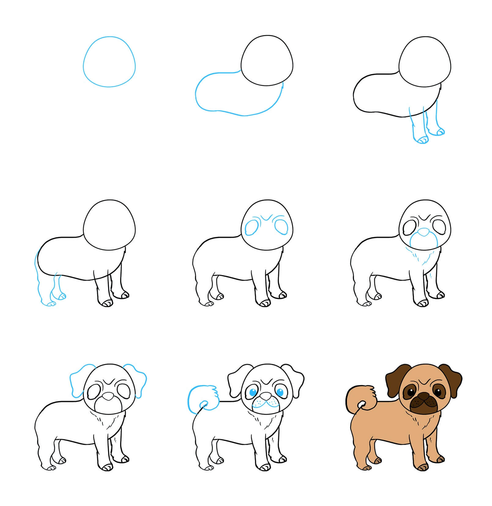 Pug Drawing Ideas