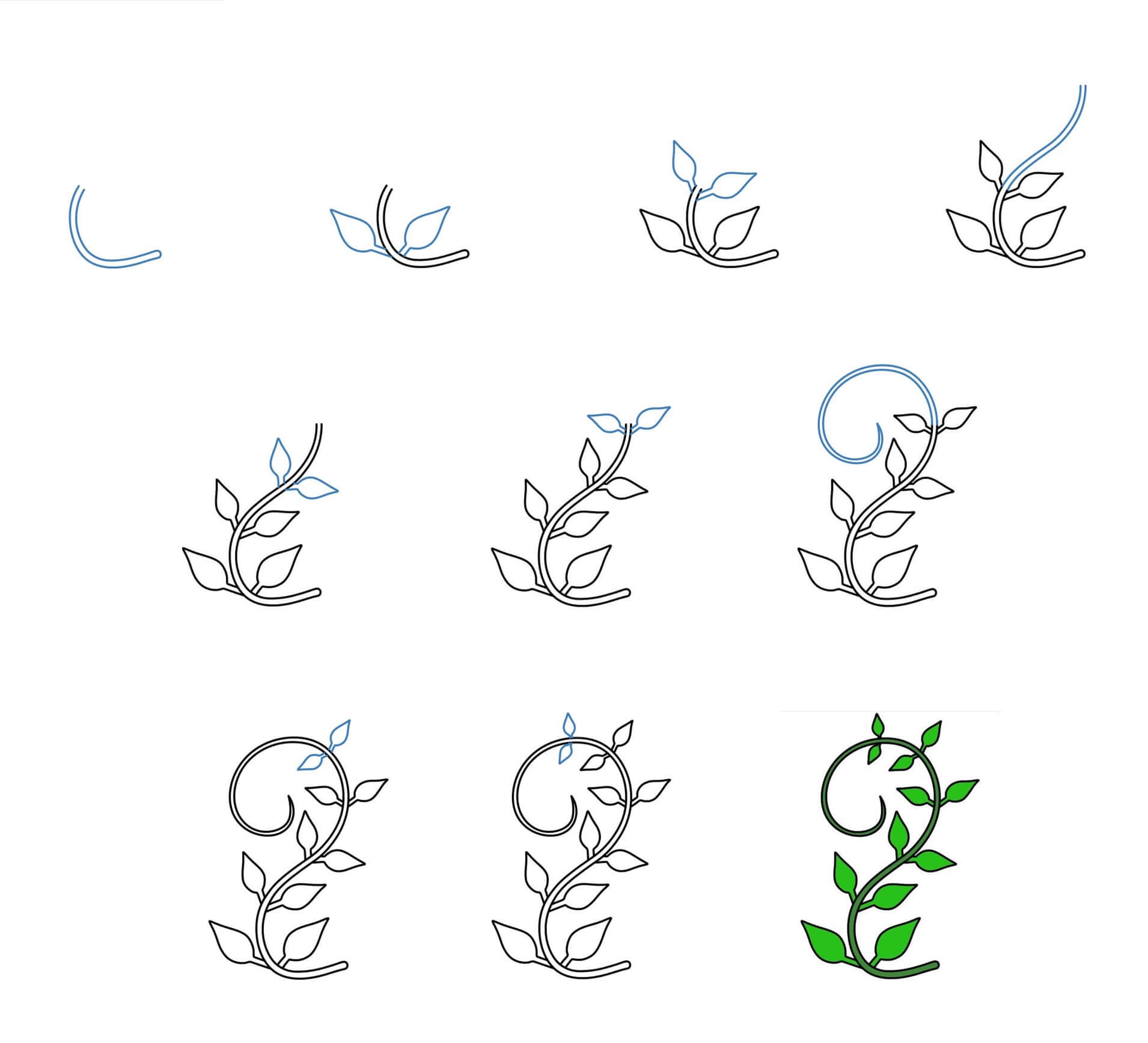 Vines idea (1) Drawing Ideas