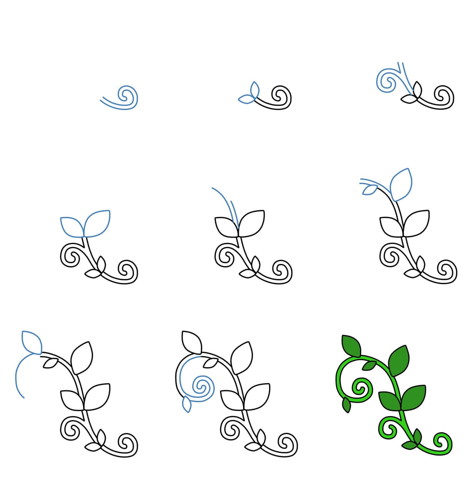 Vines Drawing Ideas