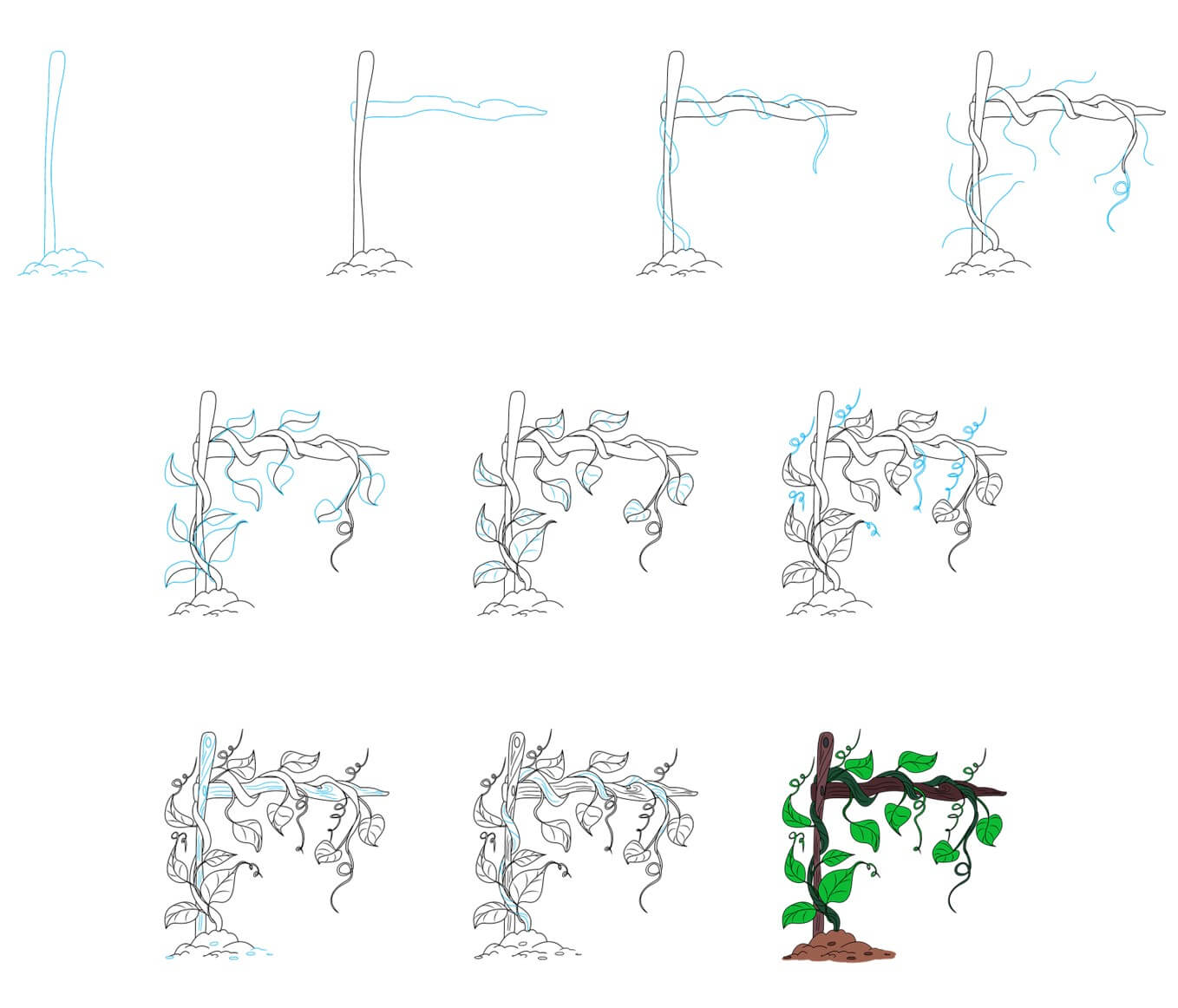 Vines idea (7) Drawing Ideas