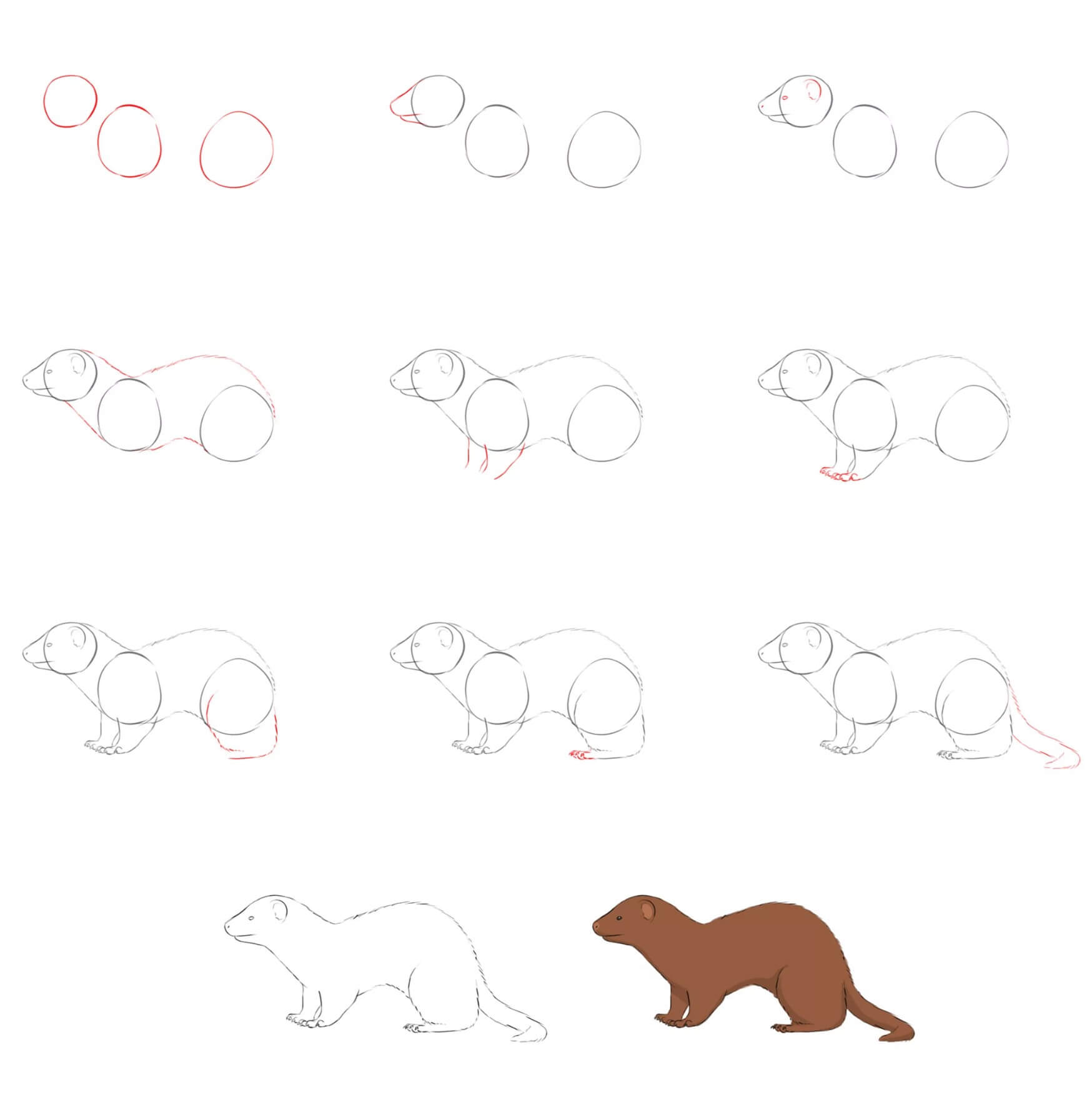 Weasel idea (12) Drawing Ideas