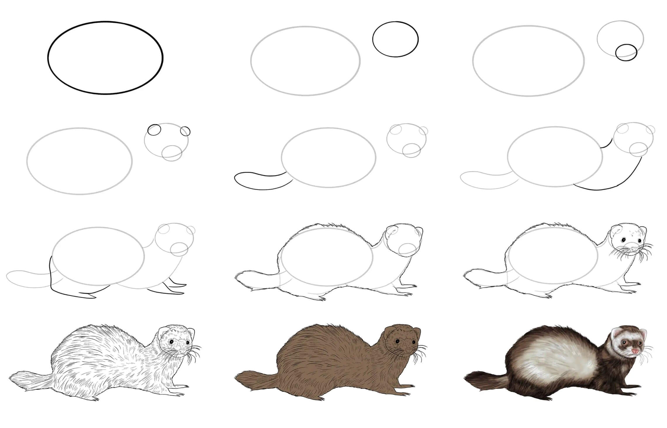 Weasel idea (13) Drawing Ideas