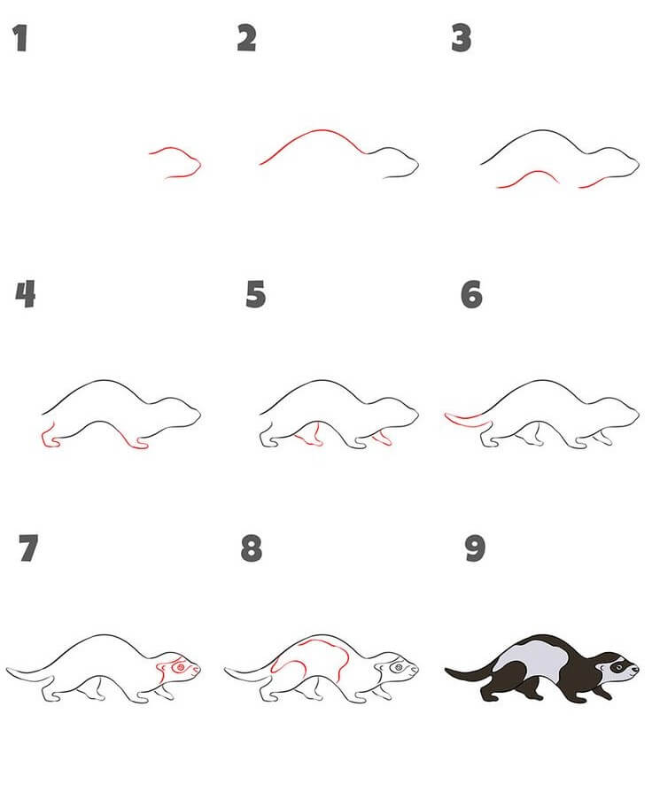 Weasel idea (2) Drawing Ideas