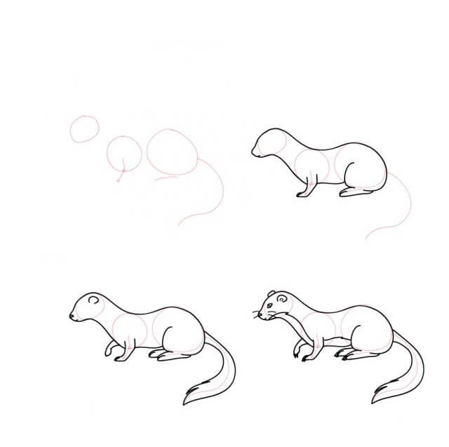 Weasel idea (7) Drawing Ideas