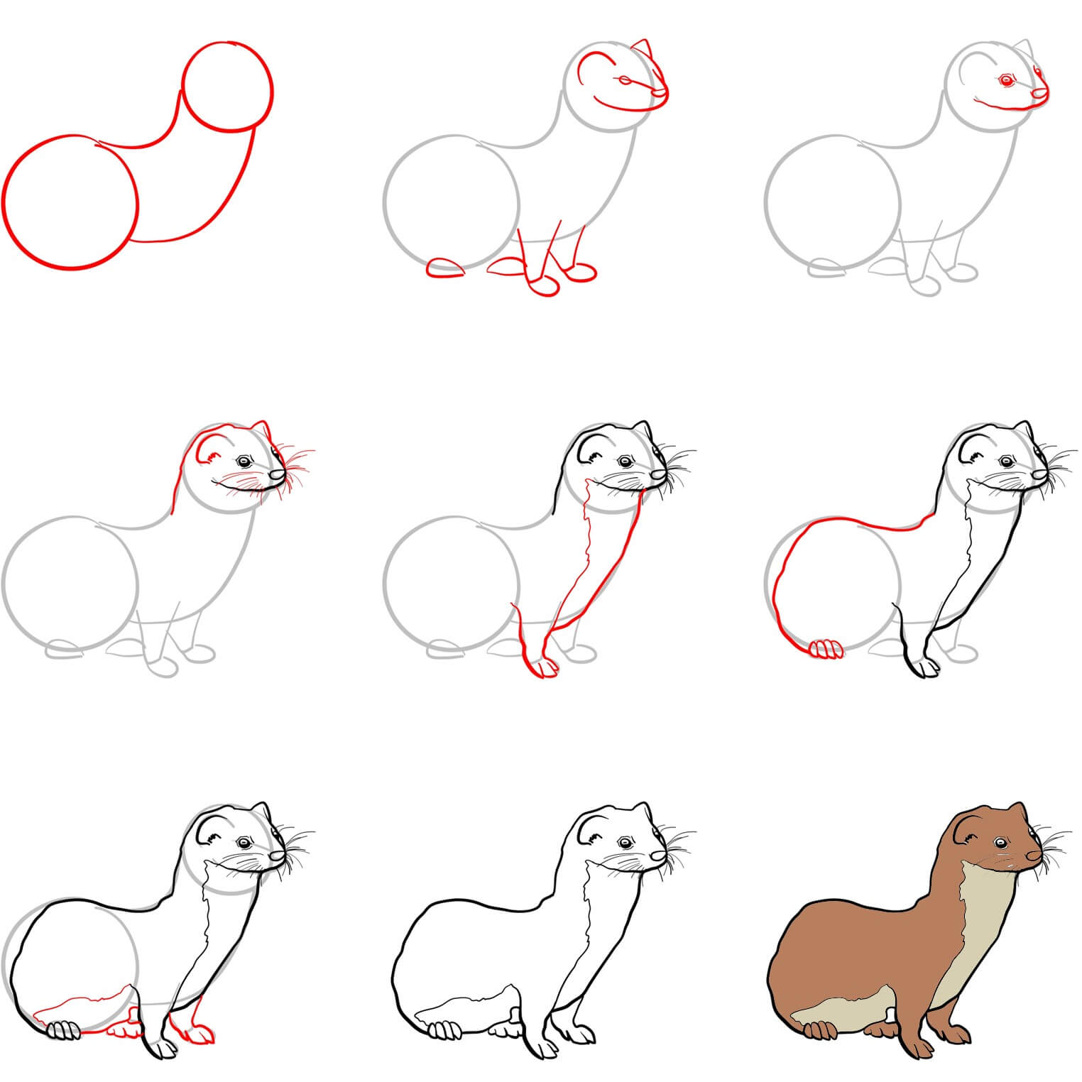 Weasel Drawing Ideas