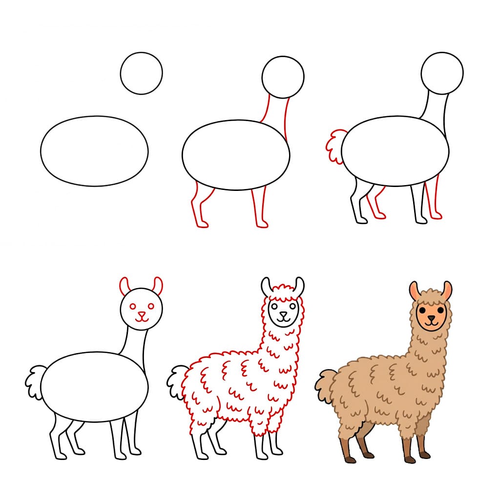 How to draw Adult Alpaca