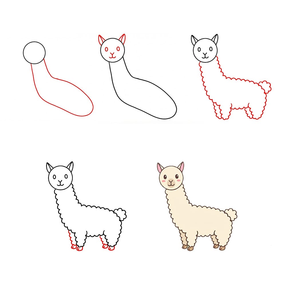 How to draw Pretty Alpaca