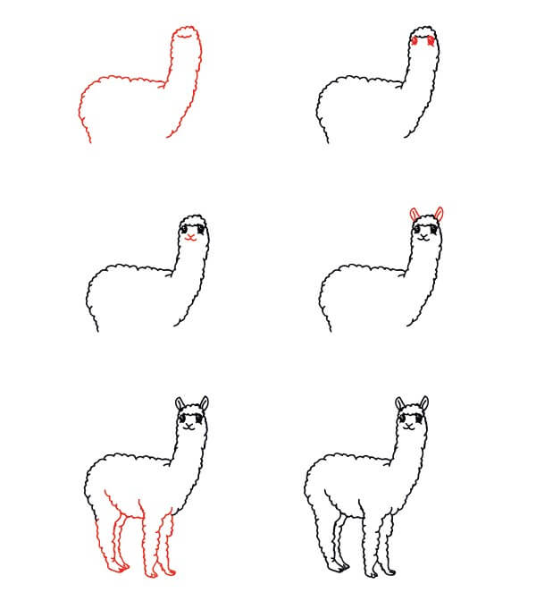 Alpaca idea (11) Drawing Ideas