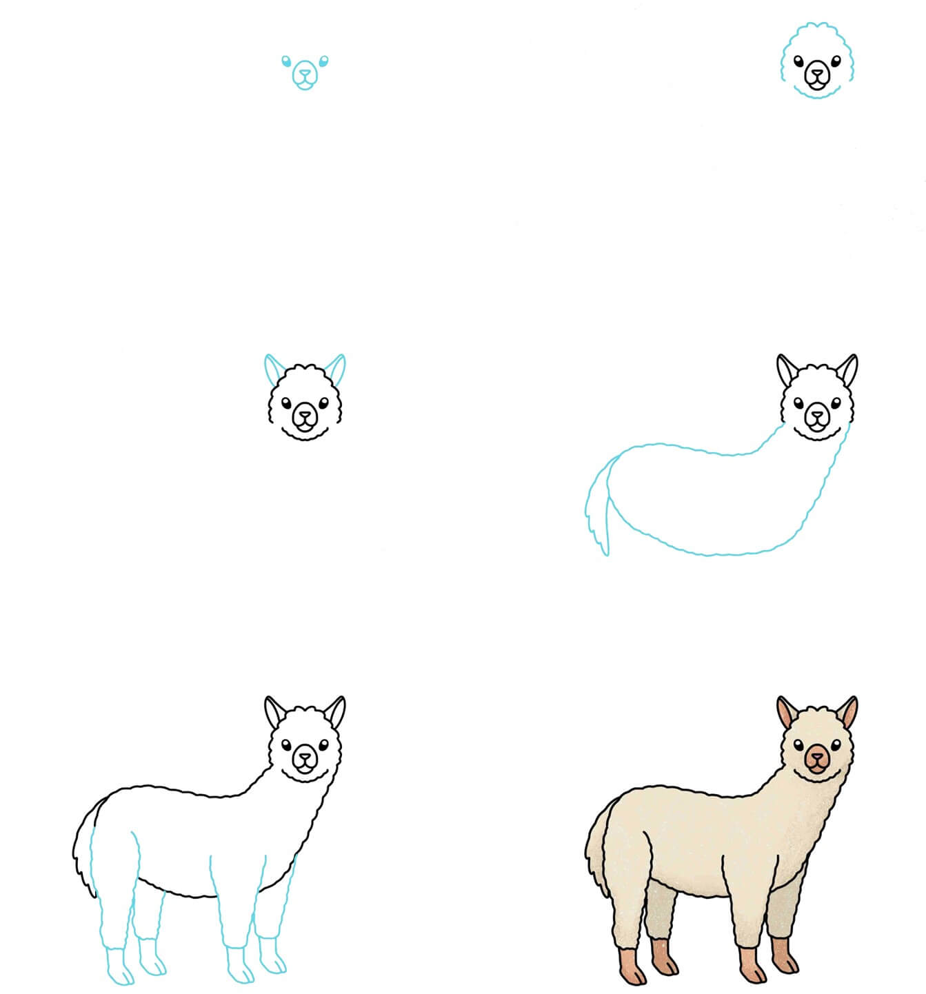 Alpaca idea (3) Drawing Ideas