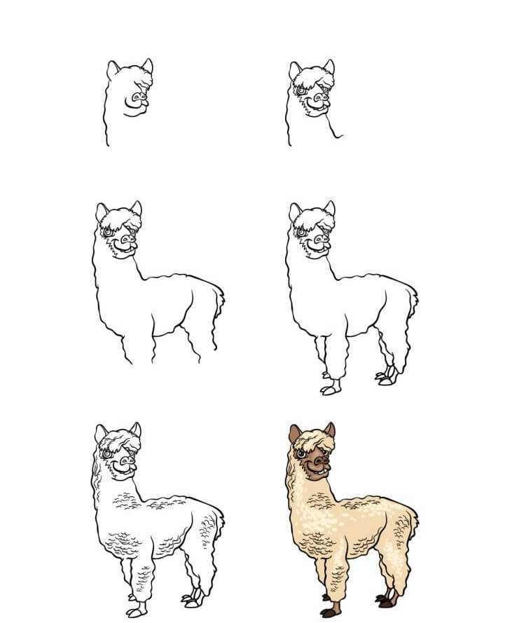 Alpaca idea (5) Drawing Ideas