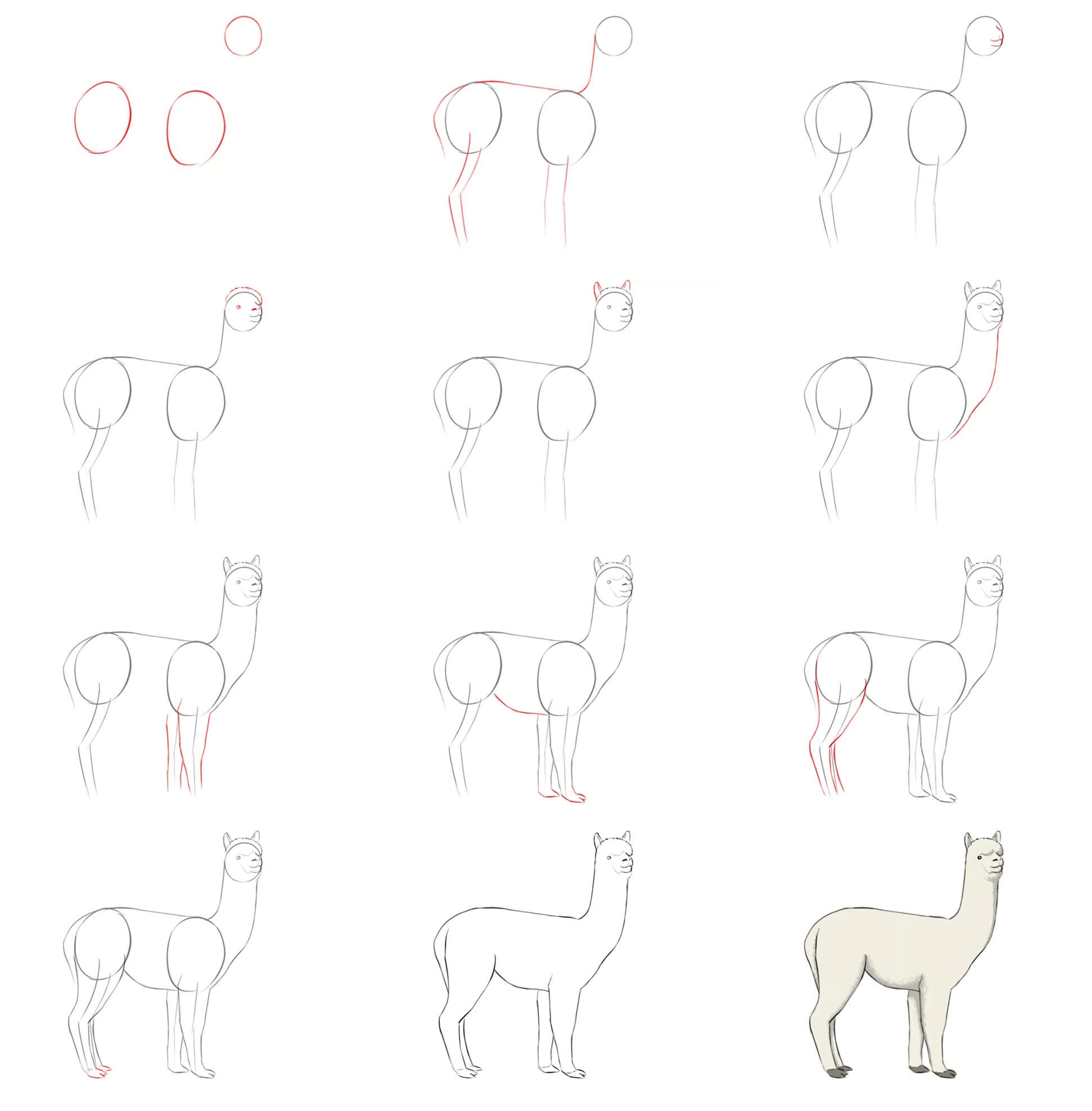 Alpaca idea (8) Drawing Ideas