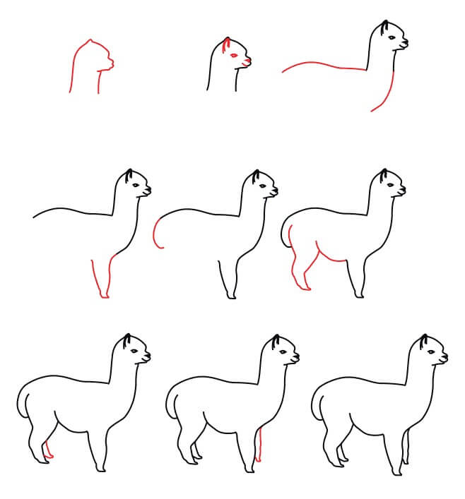 Alpaca Drawing Ideas