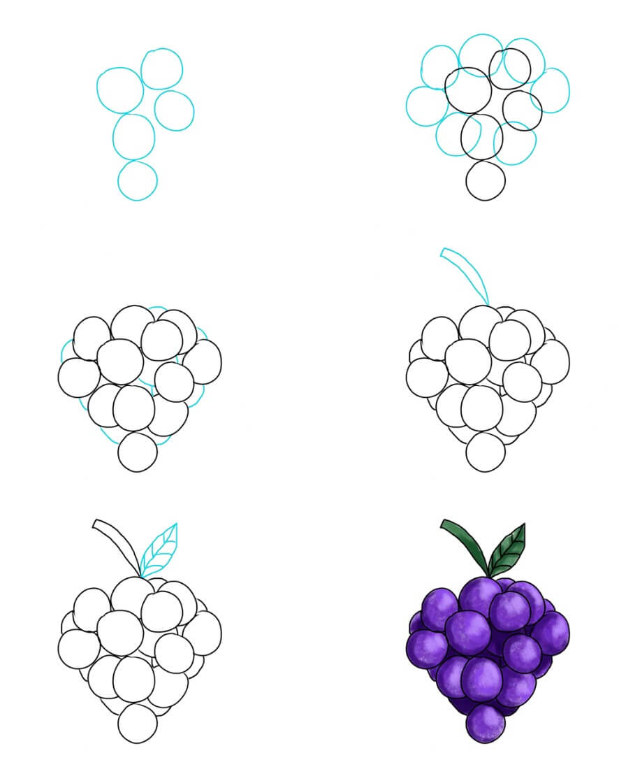 Blueberry idea (10) Drawing Ideas