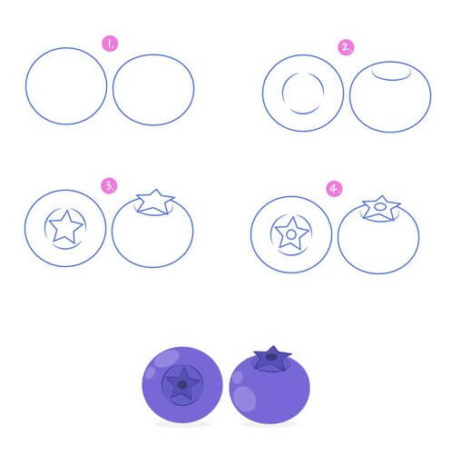 Blueberry idea (13) Drawing Ideas