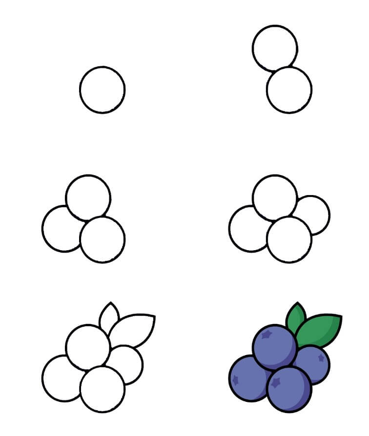 Blueberry idea (14) Drawing Ideas