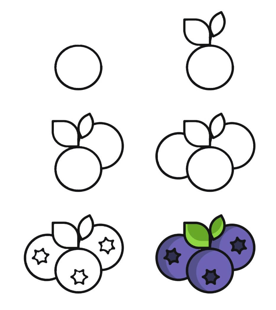 Blueberry idea (15) Drawing Ideas