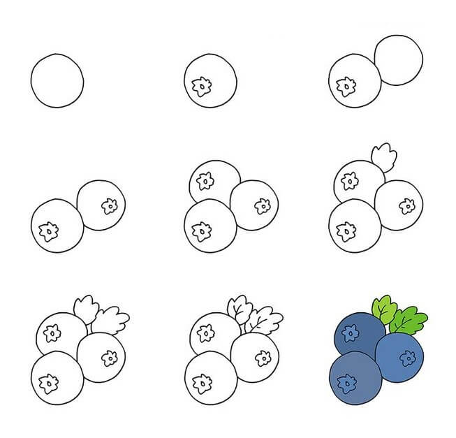 Blueberry idea (2) Drawing Ideas