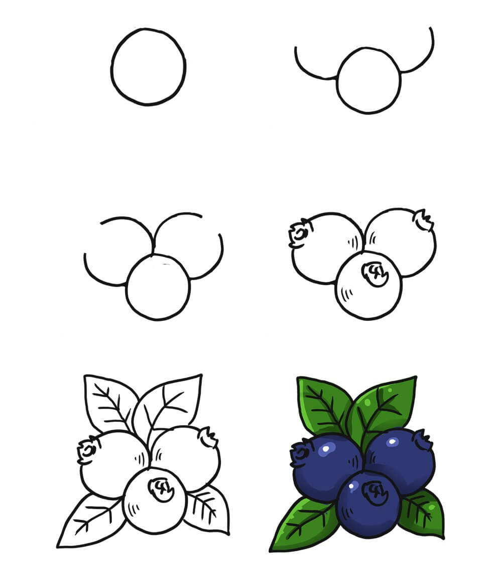 Blueberry idea (4) Drawing Ideas