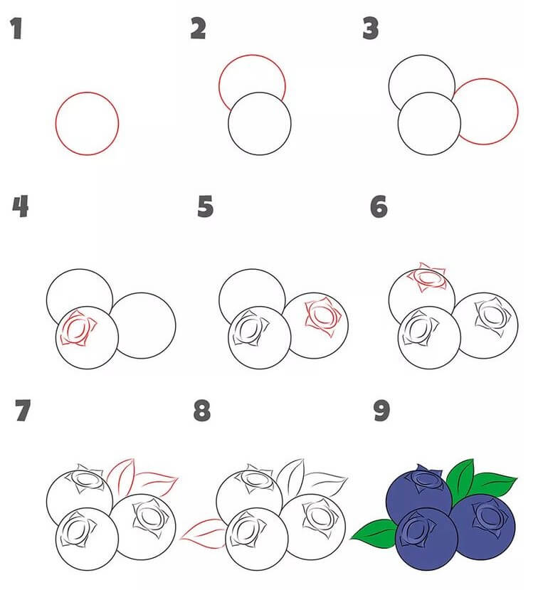 Blueberry idea (7) Drawing Ideas