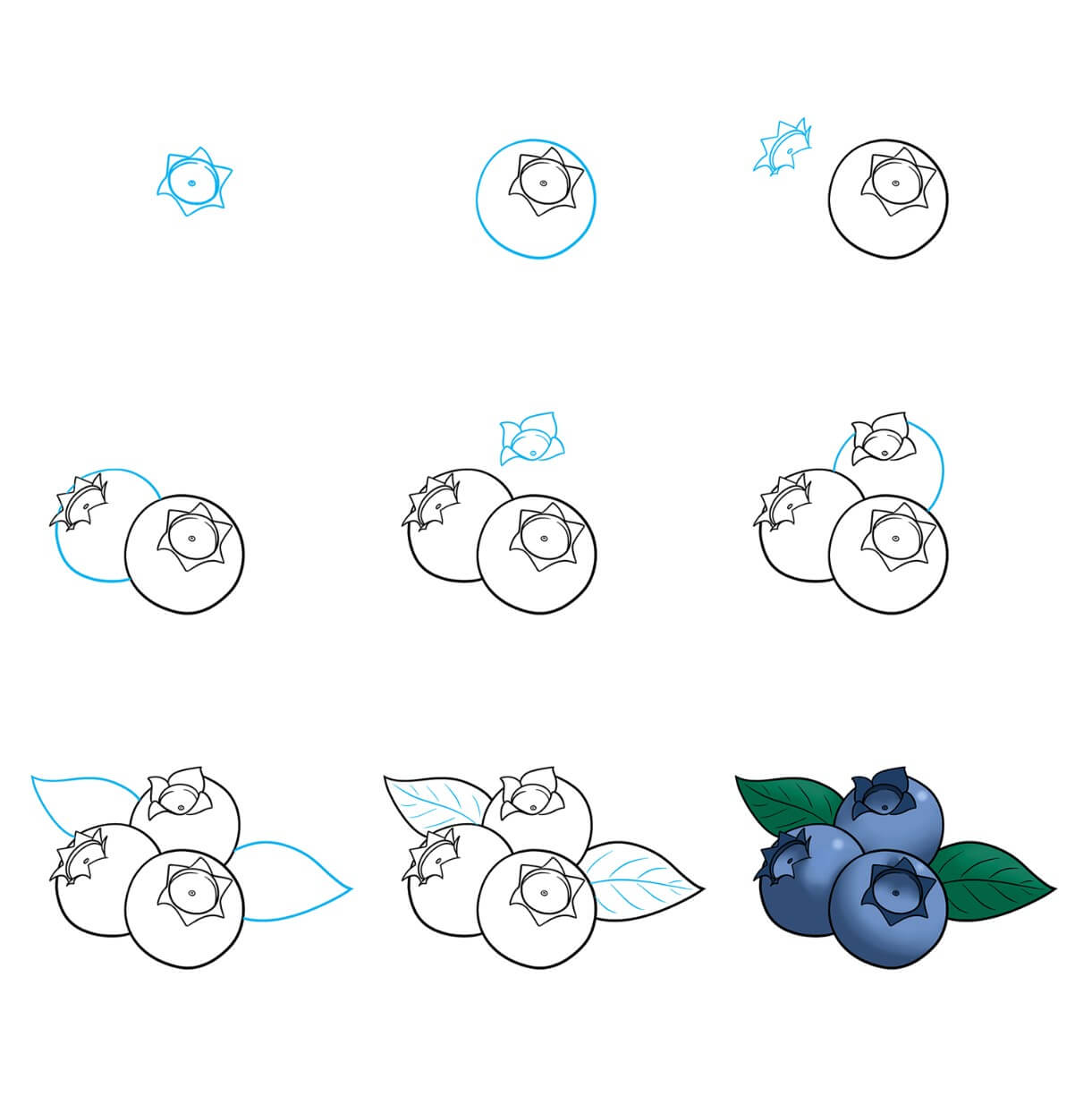 Blueberry Drawing Ideas