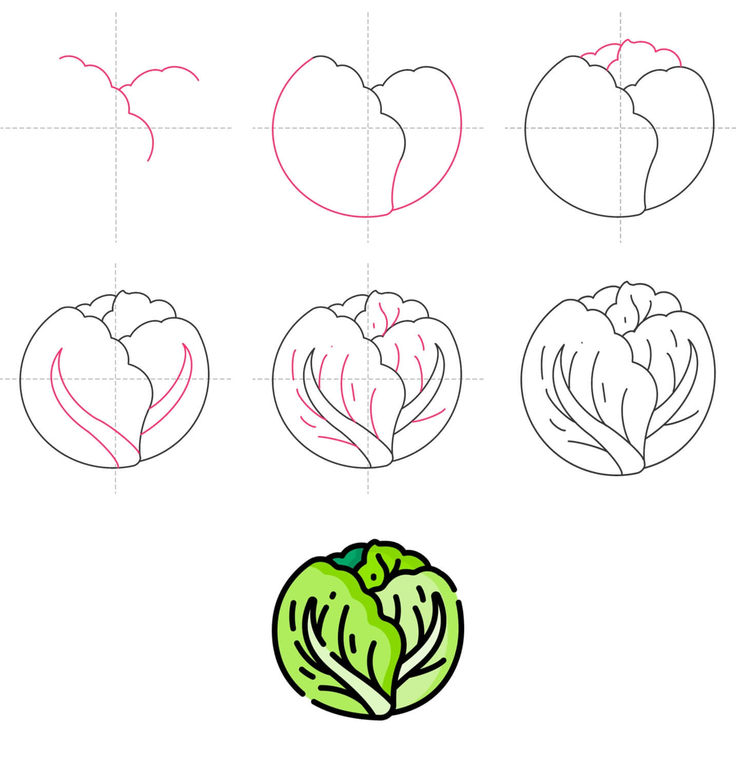 Cabbage idea (6) Drawing Ideas