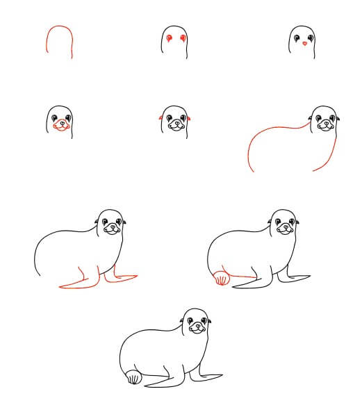 Cartoon Sea Lion Drawing Ideas