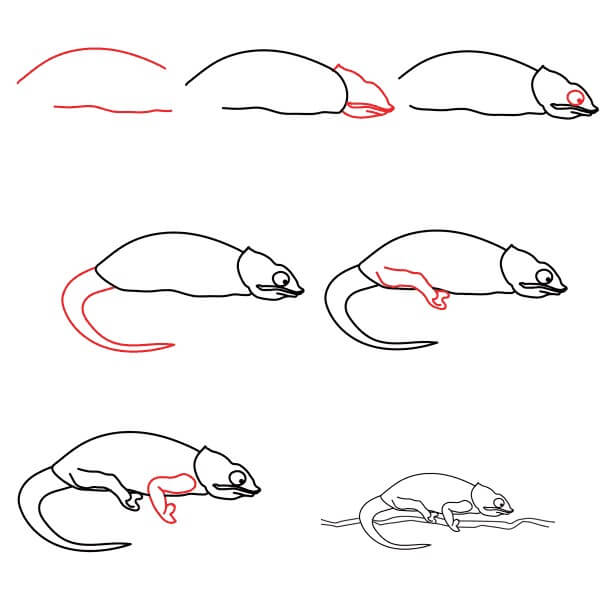 How to draw Chameleon idea (1)