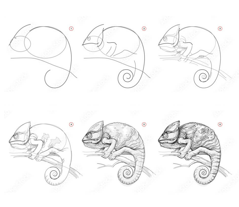 Chameleon idea (13) Drawing Ideas