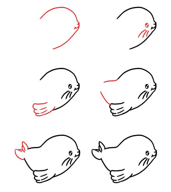 Cute Sea Lion Drawing Ideas