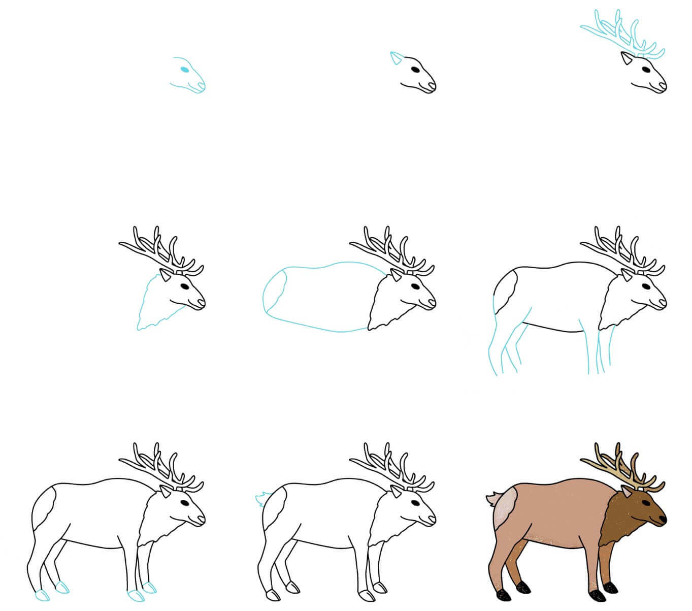 Elk idea (1) Drawing Ideas