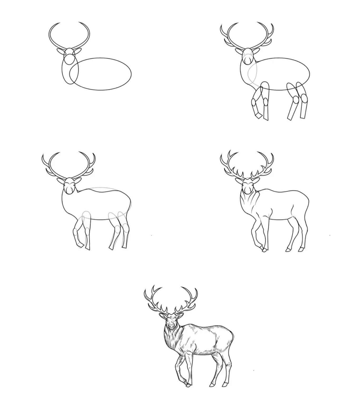 Elk idea (10) Drawing Ideas