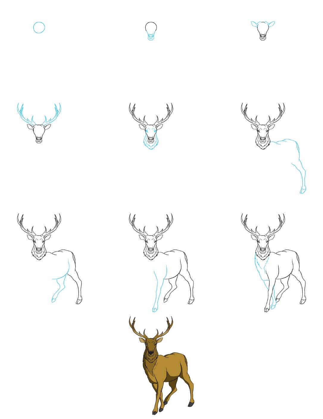 How to draw Elk idea (12)