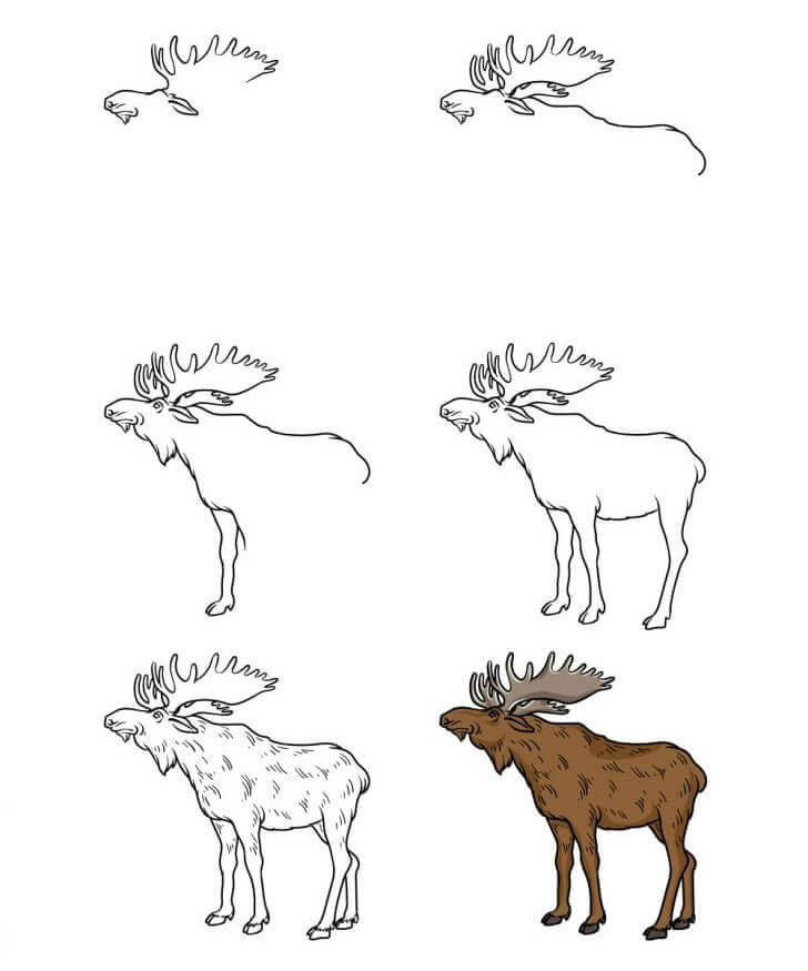 Elk idea (14) Drawing Ideas