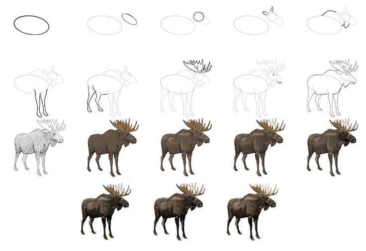 How to draw Elk idea (4)