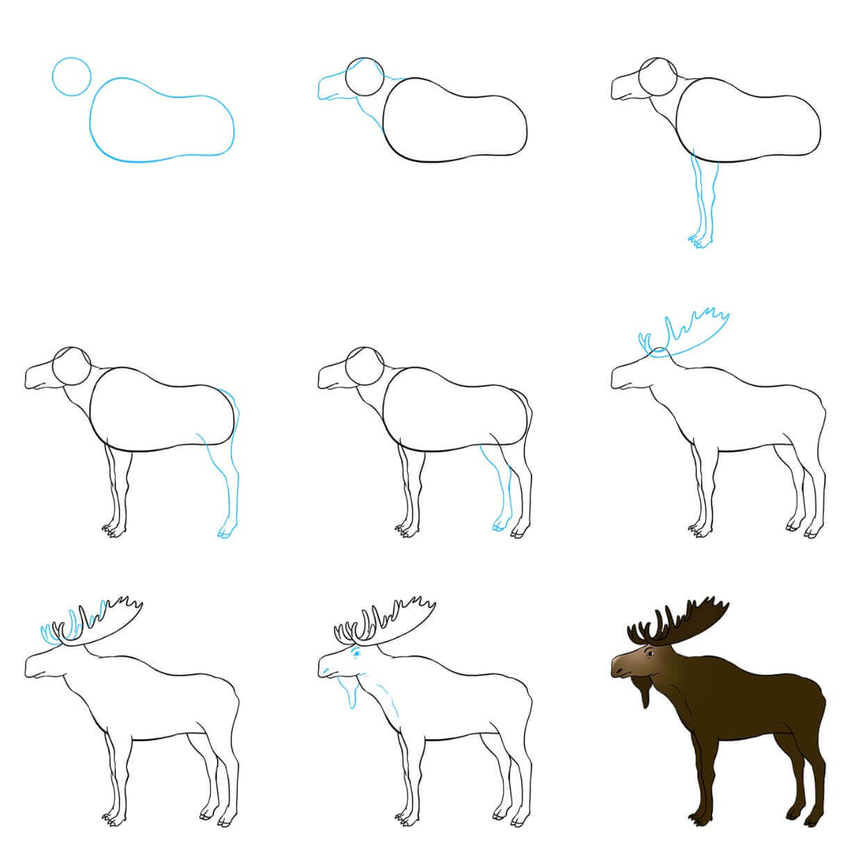 Elk Drawing Ideas