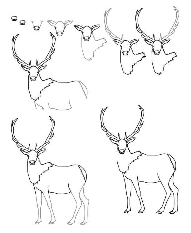 How to draw Elk idea (7)