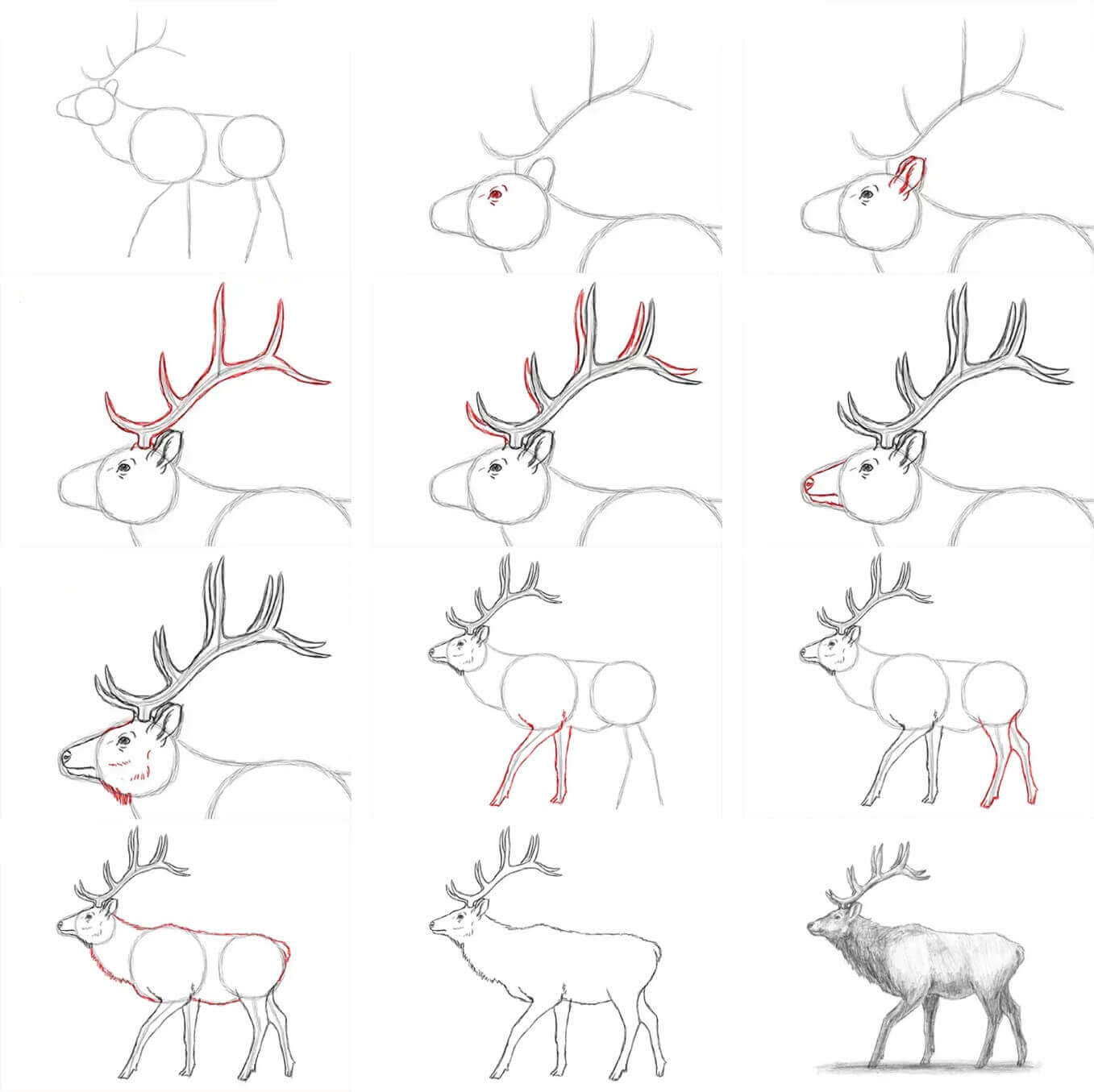 How to draw Elk idea (8)