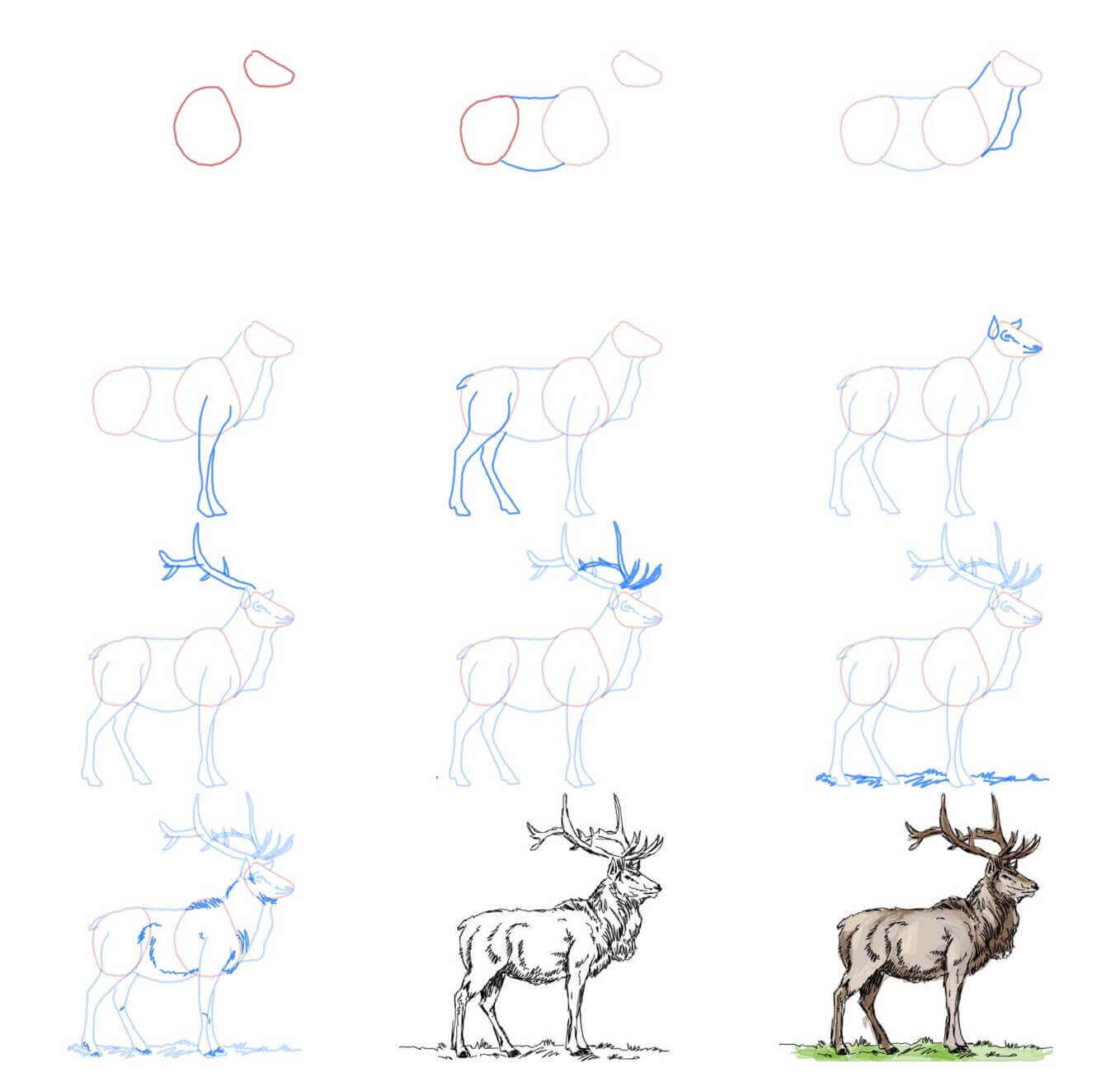 Elk idea (9) Drawing Ideas