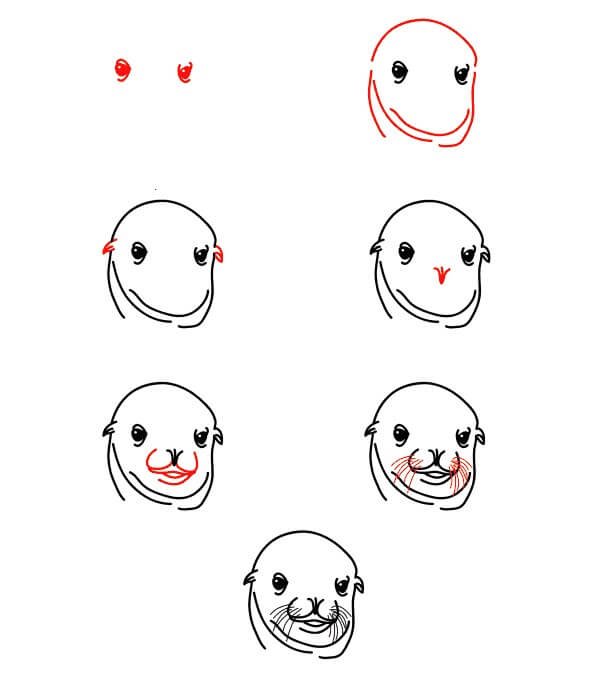 Sea Lion Face Drawing Ideas