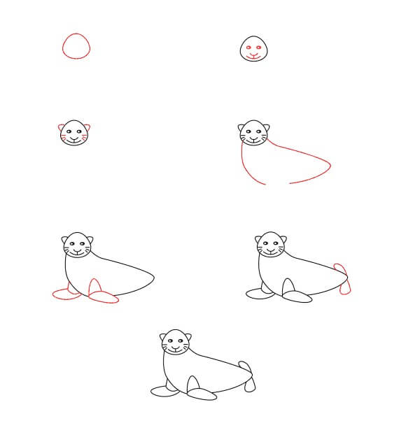 Sea Lion for Kids Drawing Ideas